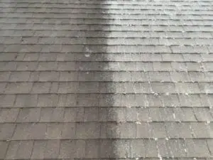 Roof Soft Wash