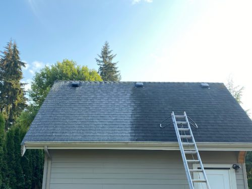  Siding Cleaning Cost