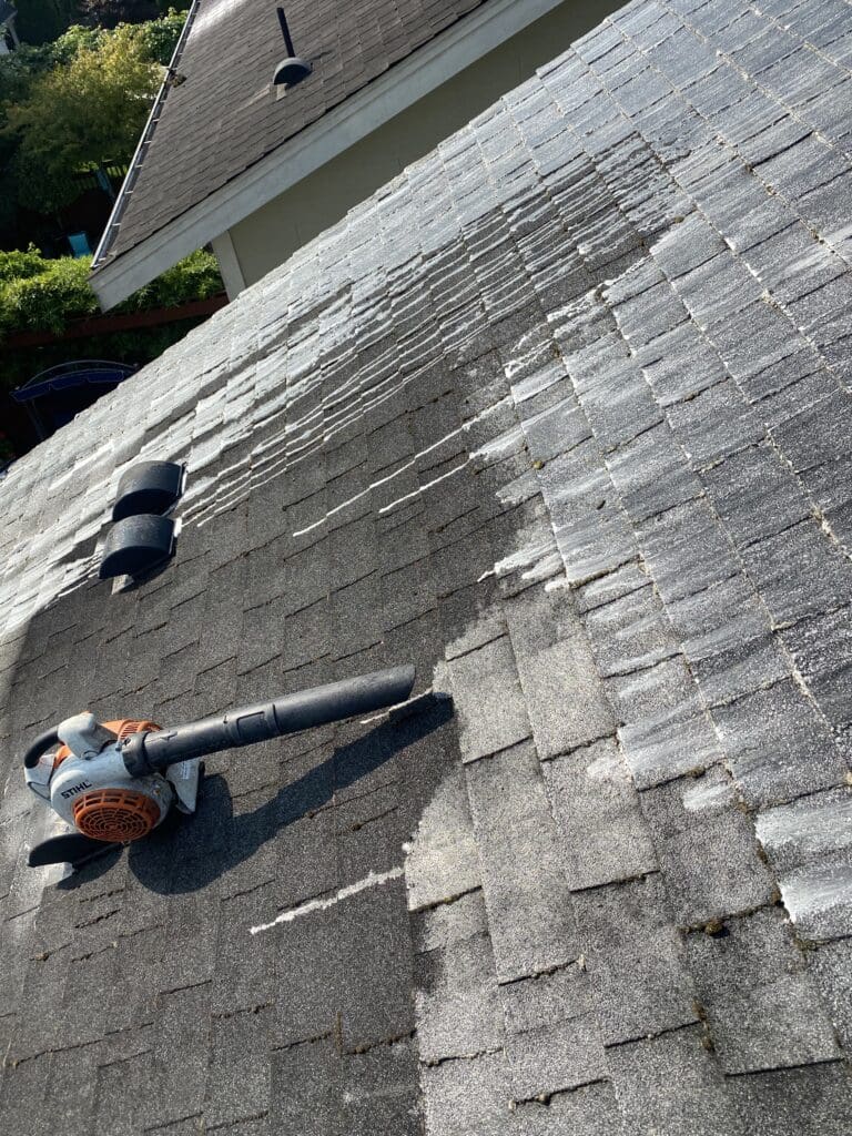 Roof Cleaning & Moss Removal Delta (2026) | Professional Service ...
