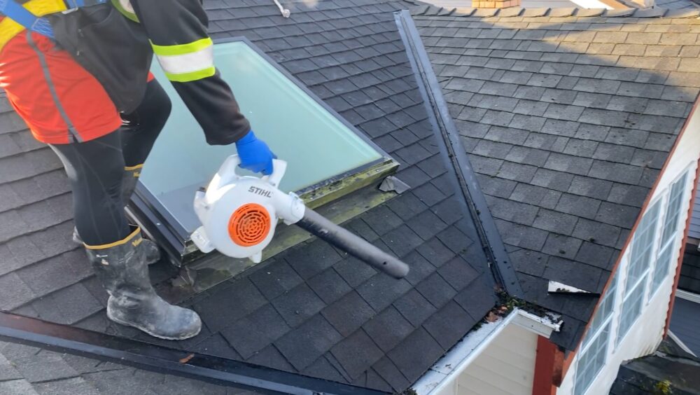 Delta Gutter Cleaning | Shine City