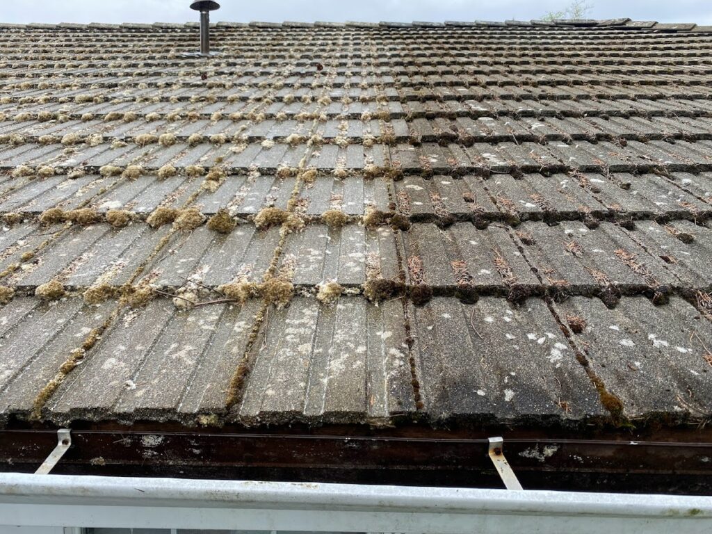 Tile Roof Moss Treatment