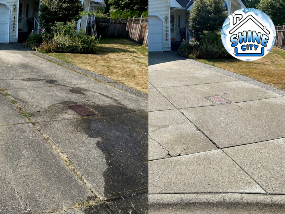 Langley Pressure Washing Services